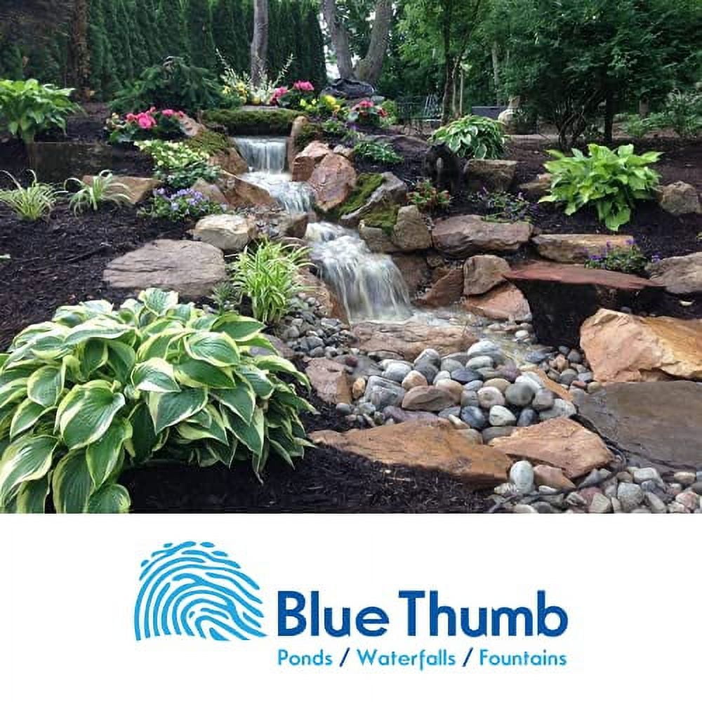 Blue Thumb Spring and Fall Clean, 24 Packets, Treats 24,000 Gallons ...