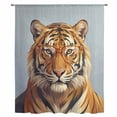 thumbnail image 1 of Blue Tiger Sheer Curtains 108 Inches Extra Long, Funny Animals Modern Art Light Filering Curtains, Privacy Drapes Simi Floor to Veiling Curtain for Living Room Bedroom Large Window Treatment, 1 of 9