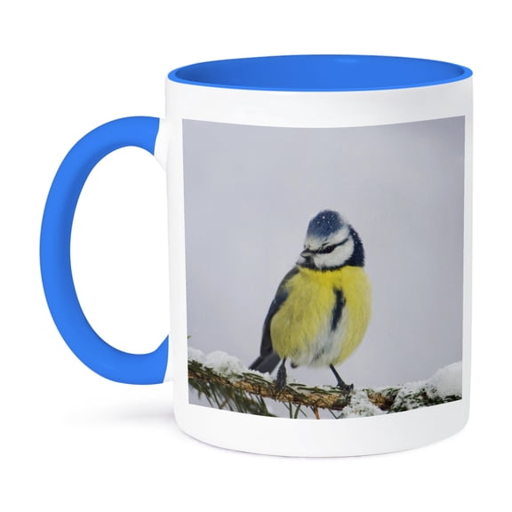 Blue Tit Bird On Branch, Oberaegeri, Switzerland - Na02 Rnu0428 - Rolf Nussbaumer, 11oz Two-Tone Blue Mug
