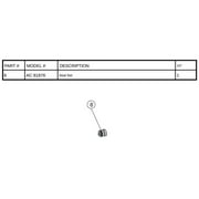 Blue Torrent Pool Products AC81876 Hurricane D-2 Pump for Seal Set