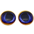 thumbnail image 1 of Blue Toucan Bird Glass Eyes, 1 of 9