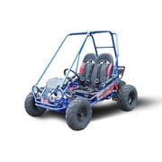 Blue TrailMaster Mini XRX Plus Upgraded Go Kart with Bigger Tires, Frame, Wider Seat