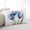 thumbnail image 1 of Blue Tulip Queen Size Pillow Cover, Pillowcase Protectors with Zipper, Breathable Decorative Throw Pillow Case Cover, Abstract Flower Country Farm Floral White Pillow Shams for Couch Sofa 20x30Inch, 1 of 8