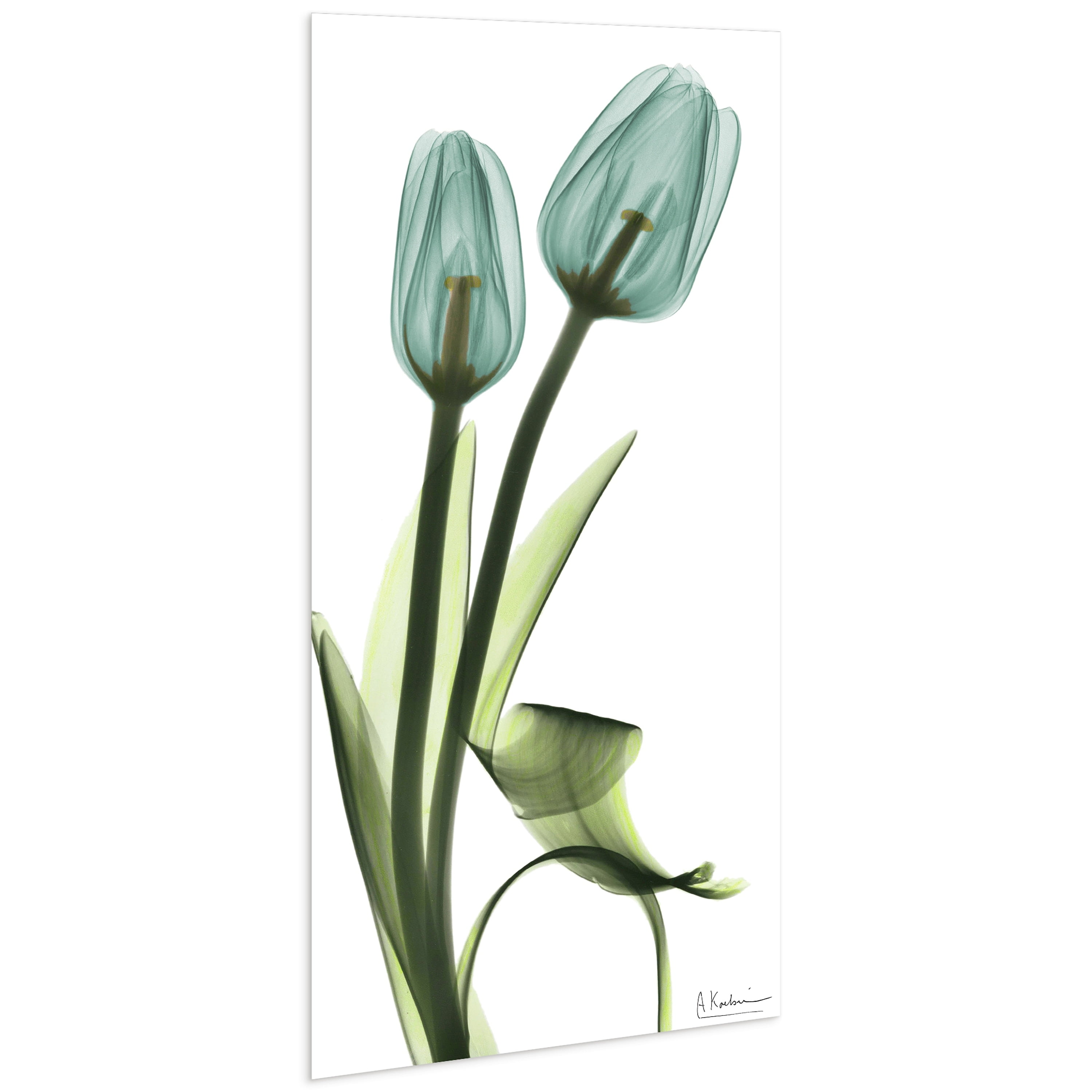 Blue Tulips Frameless Free Floating 24 in x 48 in Painting Art Prints, by Empire Art