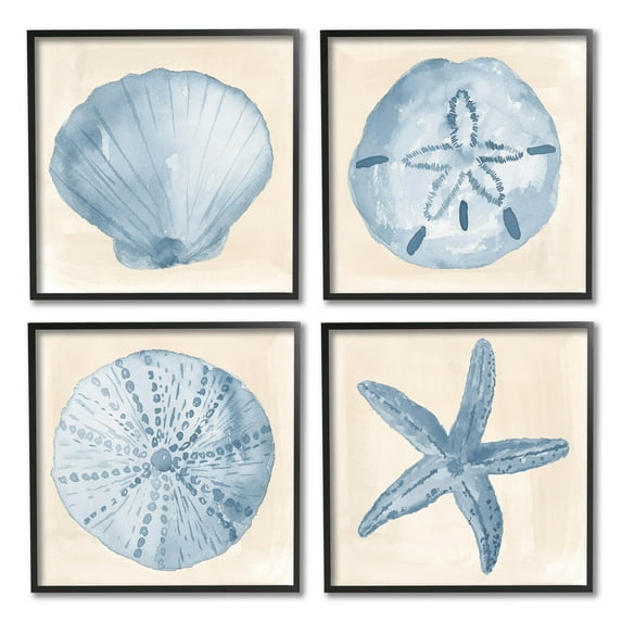 Blue Varied Seashell Marine Life Animals & Insects Graphic Art Black Framed Art Print Wall Art, Set of 4