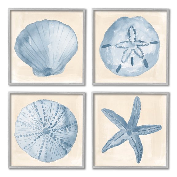 Blue Varied Seashell Marine Life Animals & Insects Graphic Art Gray Framed Art Print Wall Art, Set of 4