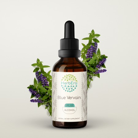 Blue Vervain Alcohol Herbal Extract Tincture, Super-Concentrated Blue Vervain (Verbena Hastata) Dried Herb 2 oz