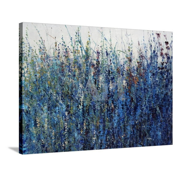 Blue Vision, Botanical Gallery-Wrapped Canvas Print Wall Art by Tim O'toole