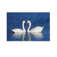thumbnail image 1 of Blue Water White Swan Couple Poster Decorative Painting Canvas Wall Art Living Room Posters Bedroom Painting,Unframe-style,16x24inch(40x60cm), 1 of 8