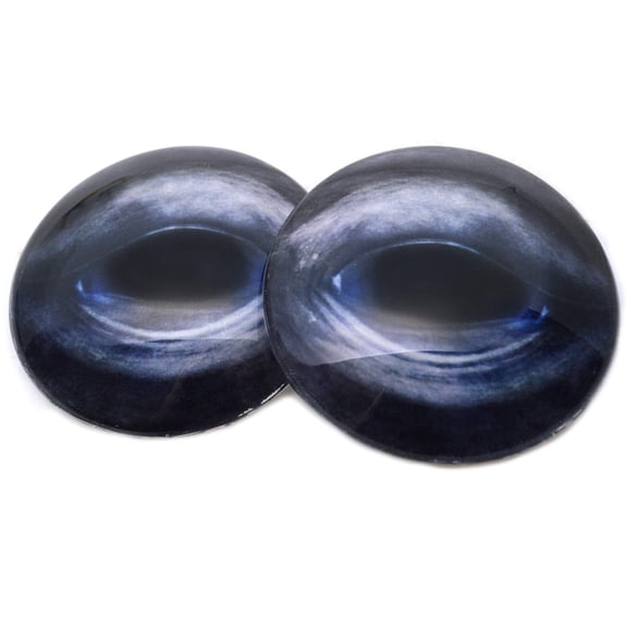 Blue Whale Glass Eyes