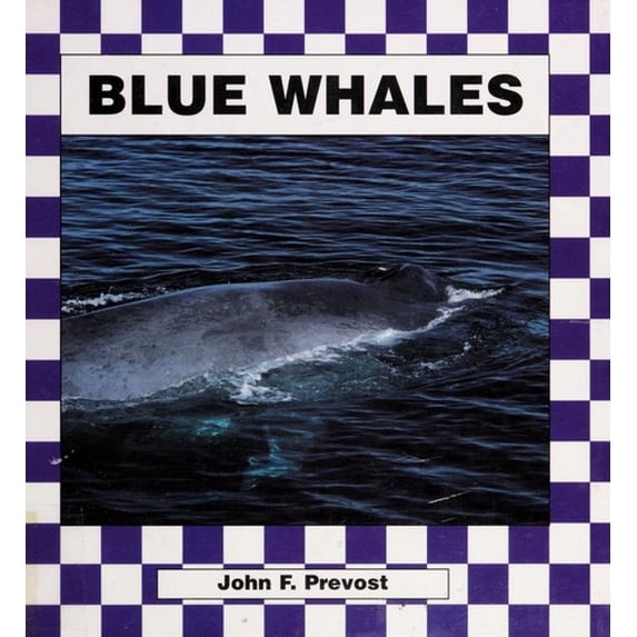 Pre-Owned Blue Whales (Library Binding) 1562394754 9781562394752