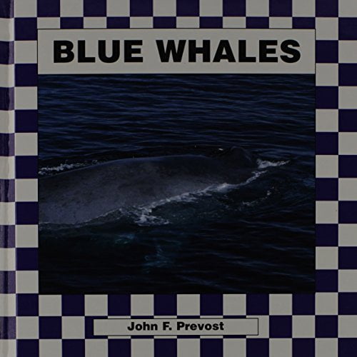 Pre-Owned Blue Whales (Library Binding) 1562394754 9781562394752