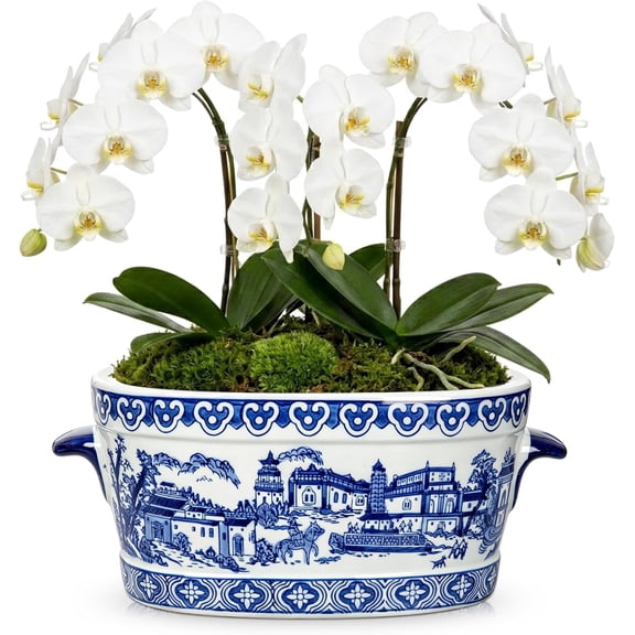 Blue and White Ceramic Planter Pot Vintage Floral Oval Cachepot Vase for Indoor Plants, Flowers & Succulents Glazed Porcelain Style Chinoiserie Dcor 10.6" Size No Drainage