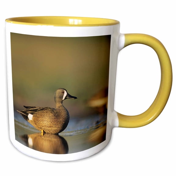 3drose, Blue-winged Teal Bird, Rio Grande Valley, Texas - Na02 Rnu0472 - Rolf Nussbaumer, 11oz Two-tone Yellow Mug