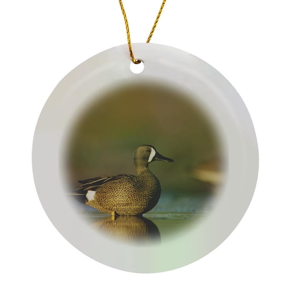 3drose, Blue-winged Teal Bird, Rio Grande Valley, Texas - Na02 Rnu0472 - Rolf Nussbaumer, Circle Porcelain Ornament