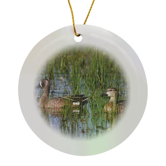 3drose, Blue-winged Teal Male and Female in Wetland, Marion Co. Il, Circle Porcelain Ornament