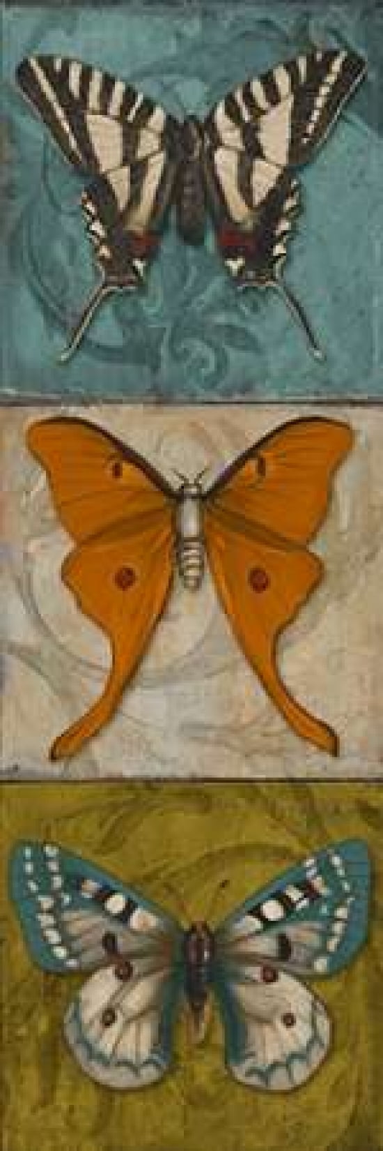 Blue Wings I Canvas Art - Patricia Pinto (8 x 24)