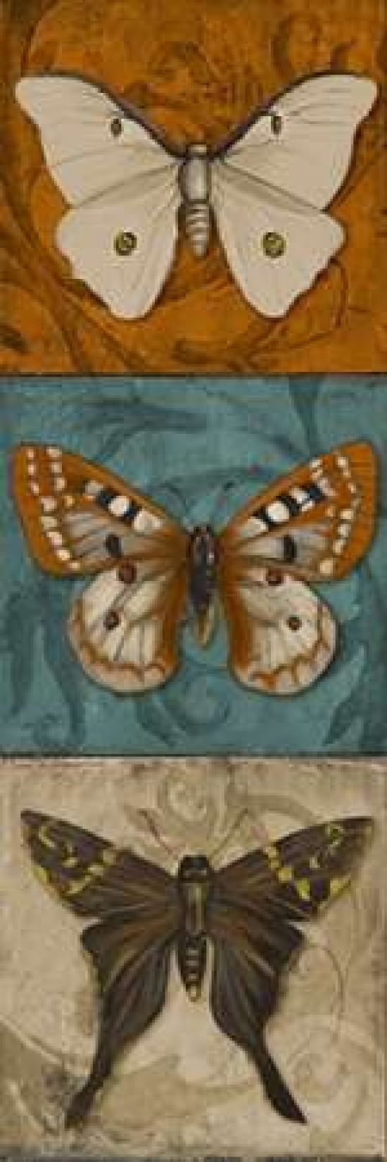 Blue Wings II Canvas Art - Patricia Pinto (12 x 36)