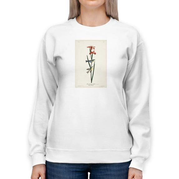 Blue Yellow-back Warbler Sweatshirt Women -John James Audubon Designs, Female x-Large
