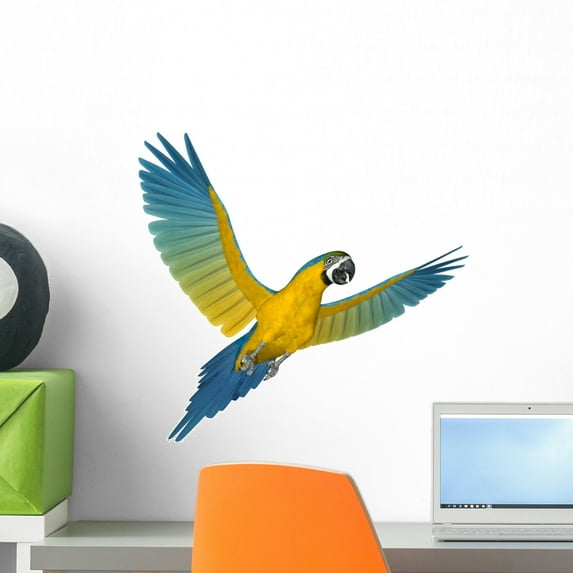 Blue and Gold Macaw Wall Decal by Wallmonkeys Peel and Stick Graphic (18 in W x 17 in H) WM332885