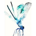thumbnail image 1 of Blue and Green Dragonfly Poster Print by Karin Johannesson, 1 of 2