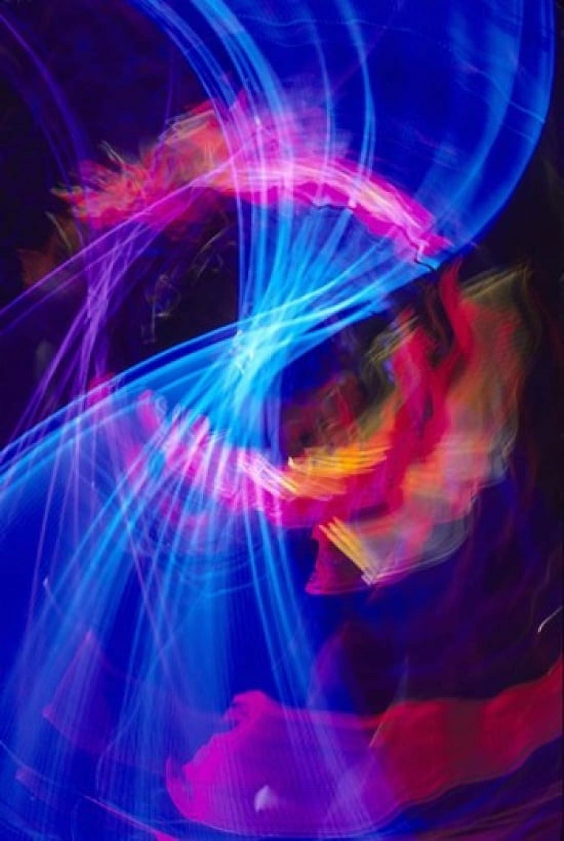 Blue and Pink Neon Lighting with Nightzoom Canvas Art - Mark Gibson DanitaDelimont (12 x 17)