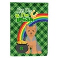 thumbnail image 1 of Blue and Tan Puppy Cut Yorkshire Terrier St. Patrick's Day Flag Garden Size, 1 of 3