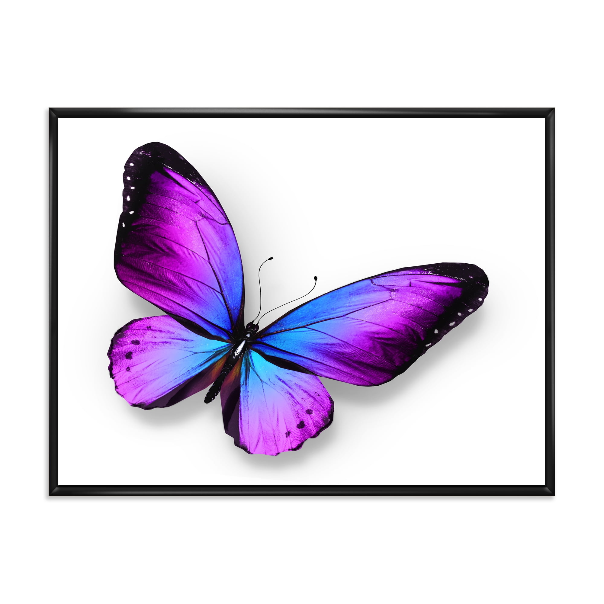 Blue and Violet Butterfly 32 in x 24 in Framed Painting Canvas Art Print, by Designart