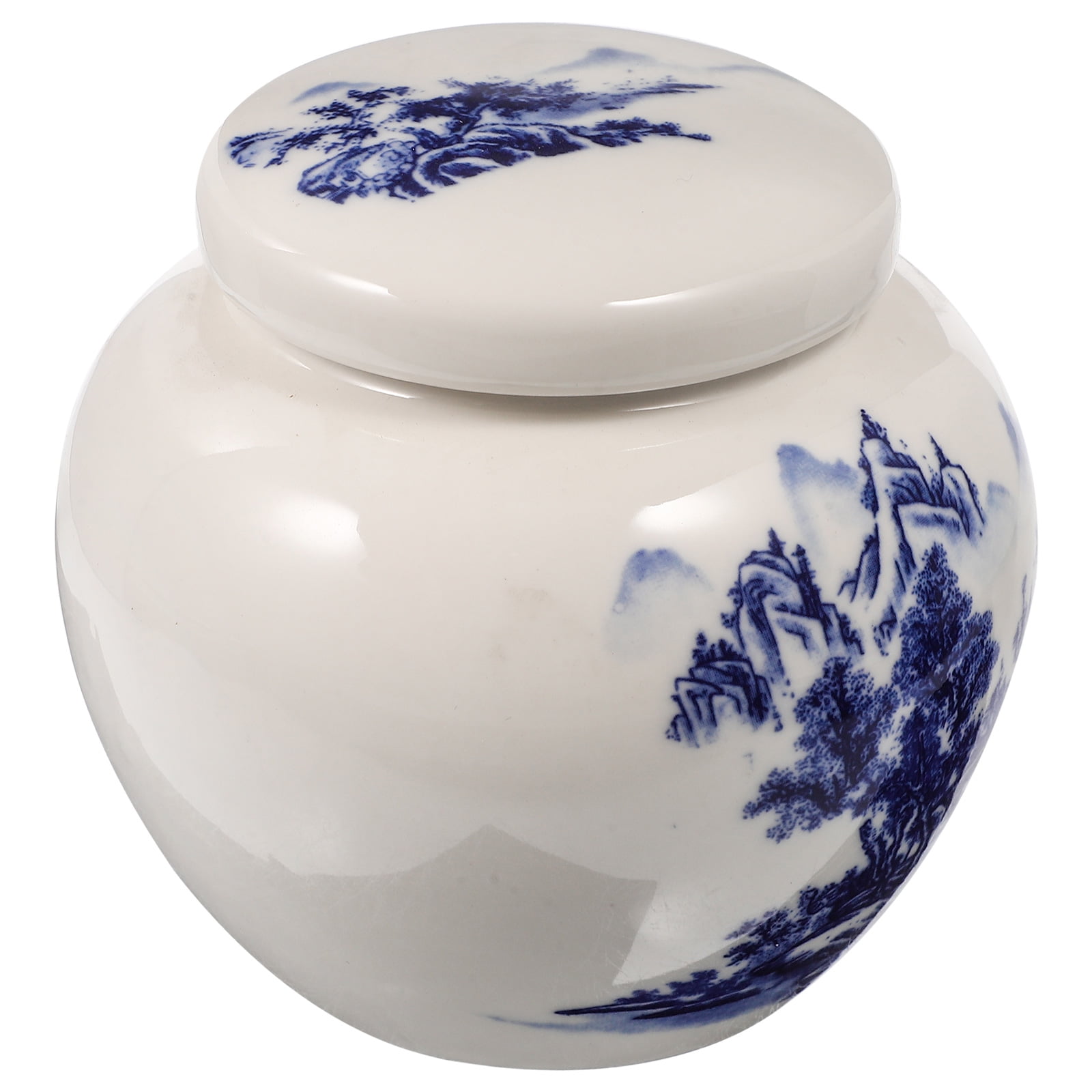 Blue and White Porcelain Tea Christmas Decor Tea Canisters for Loose ...