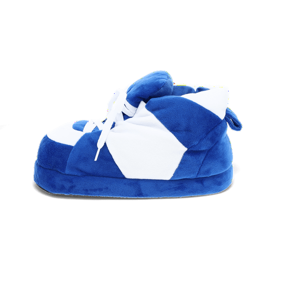 Blue and White Slippers - X Small