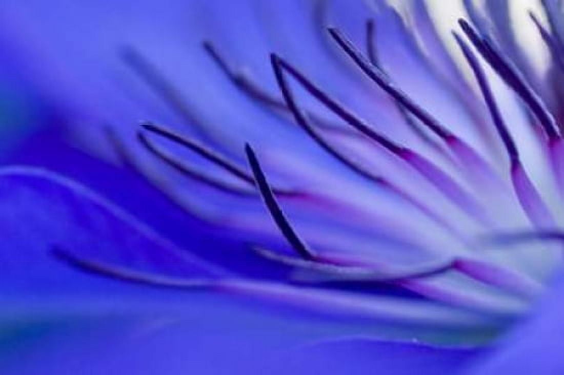 Blue arms Canvas Art - Kirsten Riedt (20 x 28)