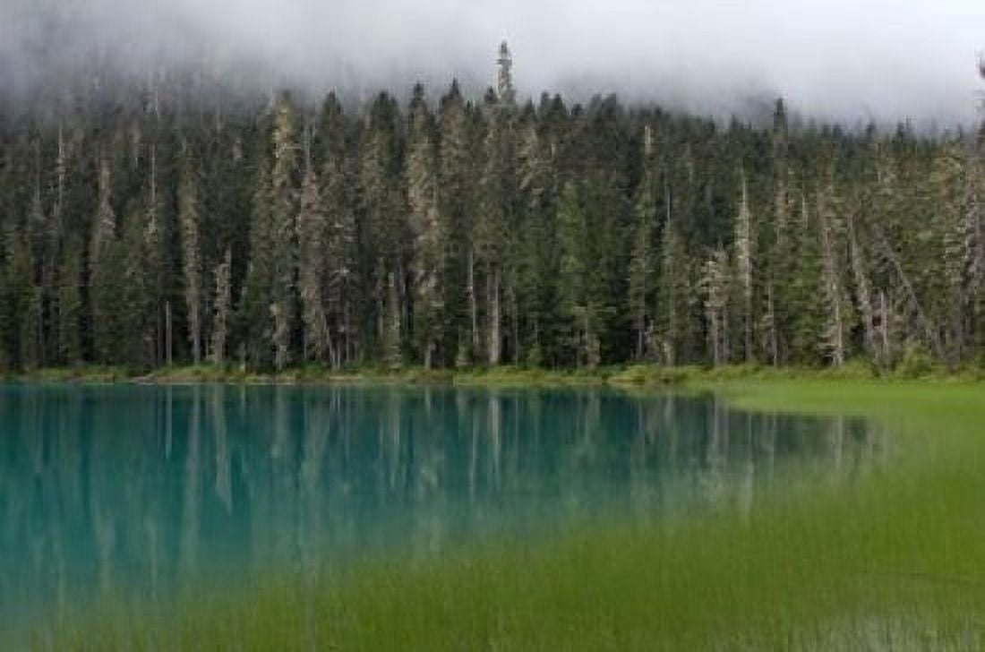 Blue glacial lake evergreen forest British Columbia Canvas Art - Raymond Klass DanitaDelimont (36 x 24)