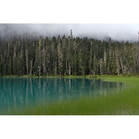 Posterazzi Blue glacial lake evergreen forest British Columbia Poster Print by Raymond Klass, (28 x 19)
