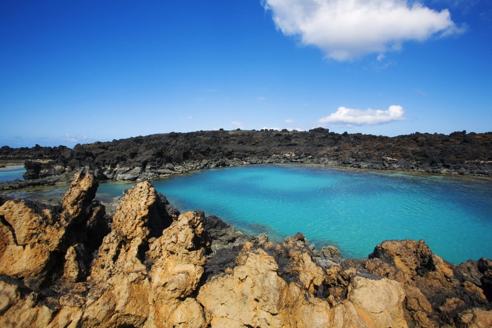 Blue pond Ahihi Kinau Natural Reserve Canvas Art - Ron Dahlquist Design Pics (28 x 18)