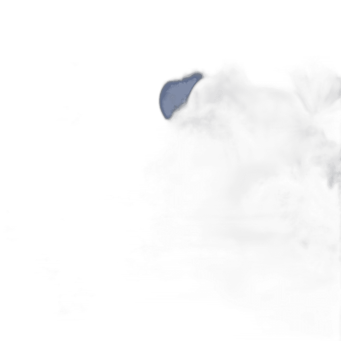 Blue wedding venue layout simulation flower ceiling flower bouquet home