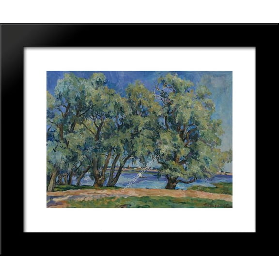 Blue willows 20x24 Framed Art Print by Pyotr Konchalovsky