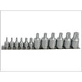 thumbnail image 1 of BlueSpot Tools - TORX Socket Set of 12 1/4 & 3/8in Square Drive, 1 of 1