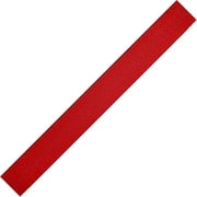 BlueWater Ropes 1" Tubular Climb-Spec Nylon Webbing Red, 300