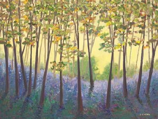 Bluebell Delights Canvas Art - Serena Sussex (18 x 24)
