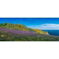 thumbnail image 1 of Bluebells, Saltee Islands, Co Wexford, Ireland by The Irish Image Collection / Design Pics (60 x 24), 1 of 1