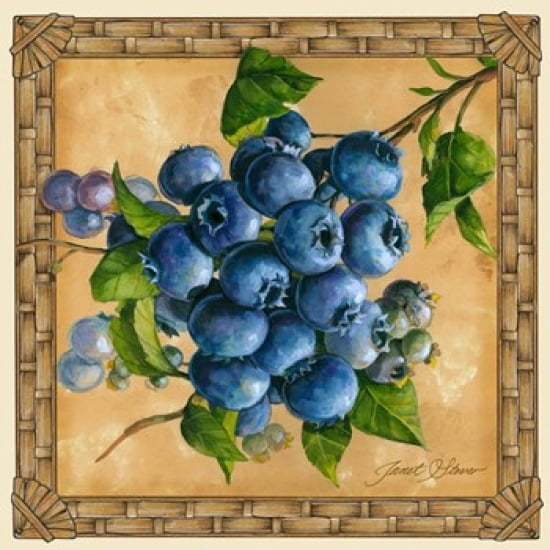 Blueberries Canvas Art - Janet Stever (20 x 20)