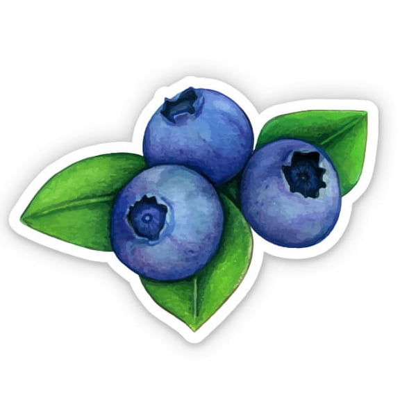 Blueberries Cute - 5" Vinyl Sticker - For Car Laptop I-Pad - Waterproof Decal