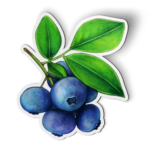 Blueberries Pretty Painted - 5" Magnet for Car Locker Refrigerator