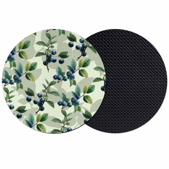 Blueberry Botanical Coasters Set of 2, Absorbent Coasters for Drinks, Spring Leaves Branches Farmhouse Coaster for Desk Coffee Table Protection, Home Decor House Warming Gifts 4"