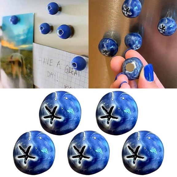Blueberry Ceramic Fridge Magnets, New Cute Mini Ceramic Magnet for Fridge, 3D Resin Small Blueberries Refrigerator Magnetic, Realistic Fruit Art for Home Kitchen Office Locker Decoration (5 PCS)