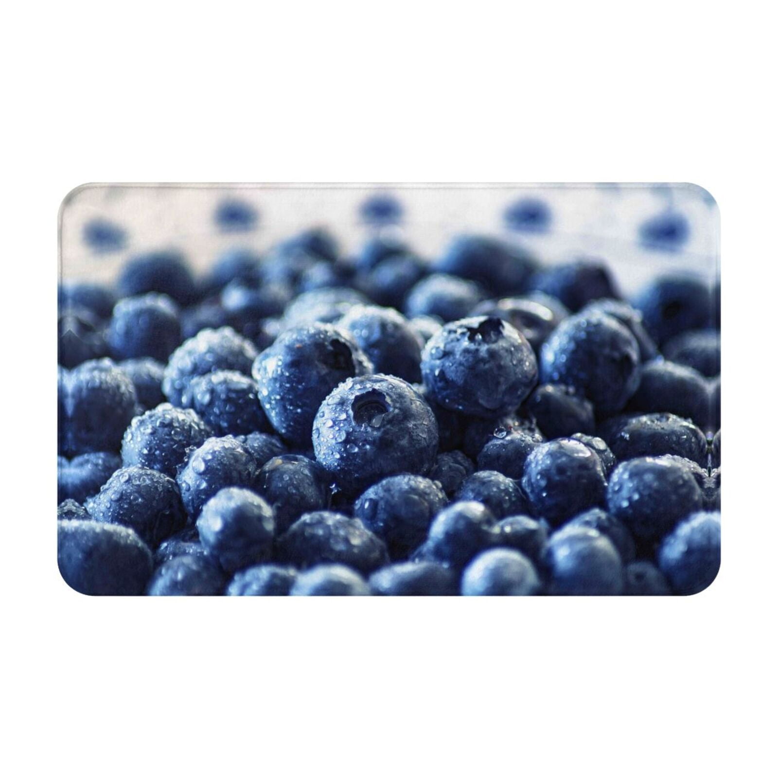 Blueberry Front Door Mat Indoor Entrance, 31.5x20 Non-Slip Washable ...