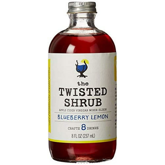 Blueberry Lemon Cider Vinegar Drink Mixers for Healthier Sodas & Cocktails Gut Health Aids