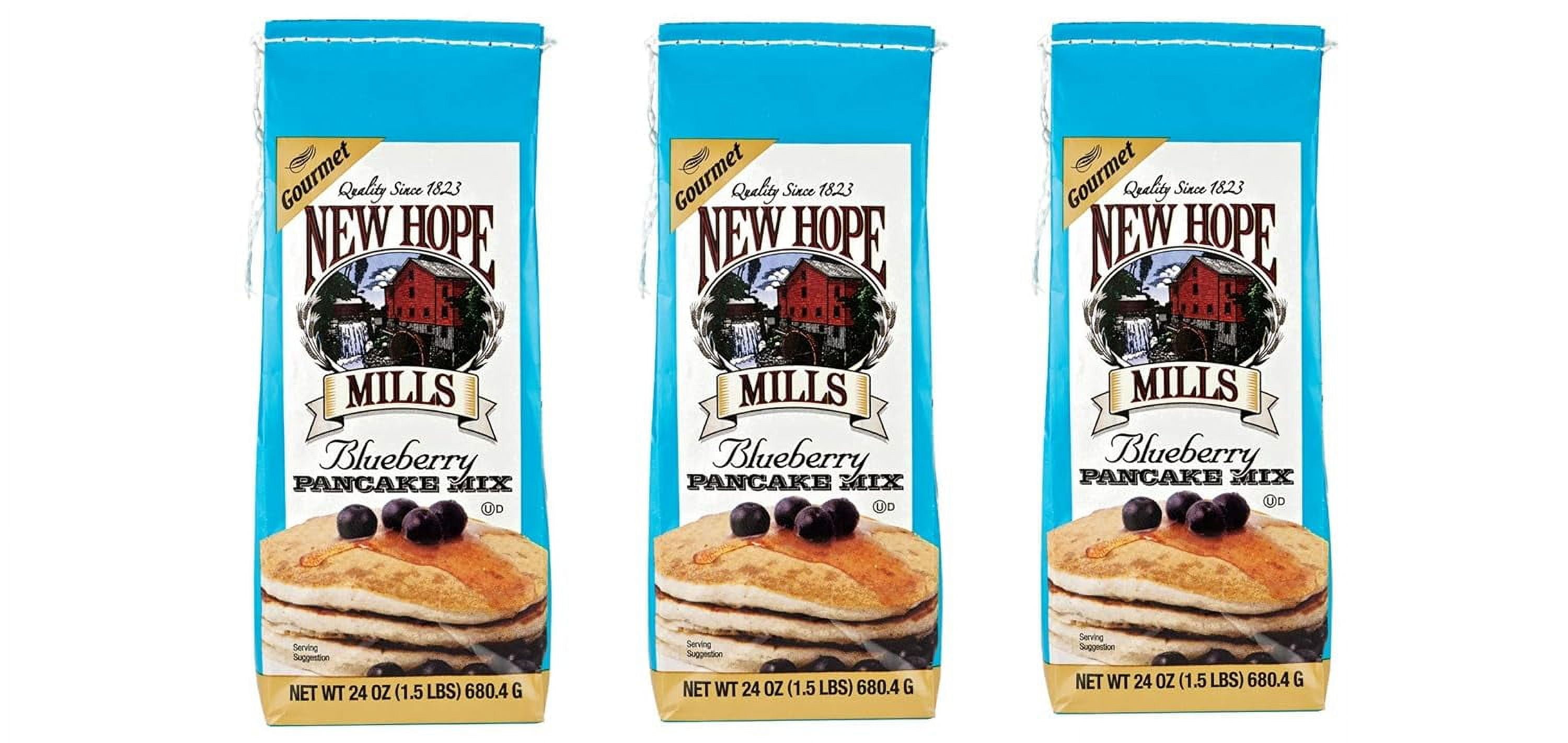 Blueberry Pancake Mix- 24 oz. Bag (Three Bags)