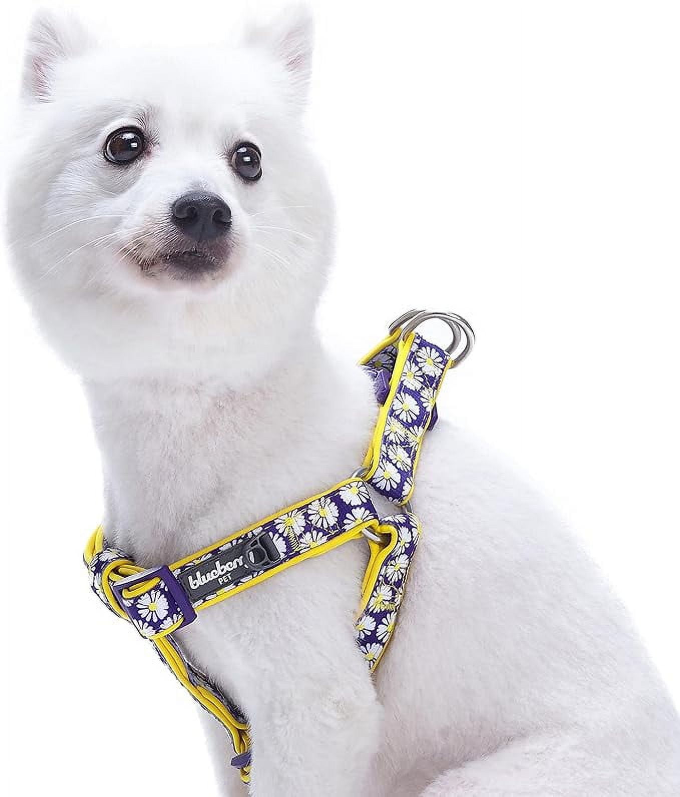 Blueberry Pet 2 Patterns Soft & Comfy Stepin Loving Daisy Prints