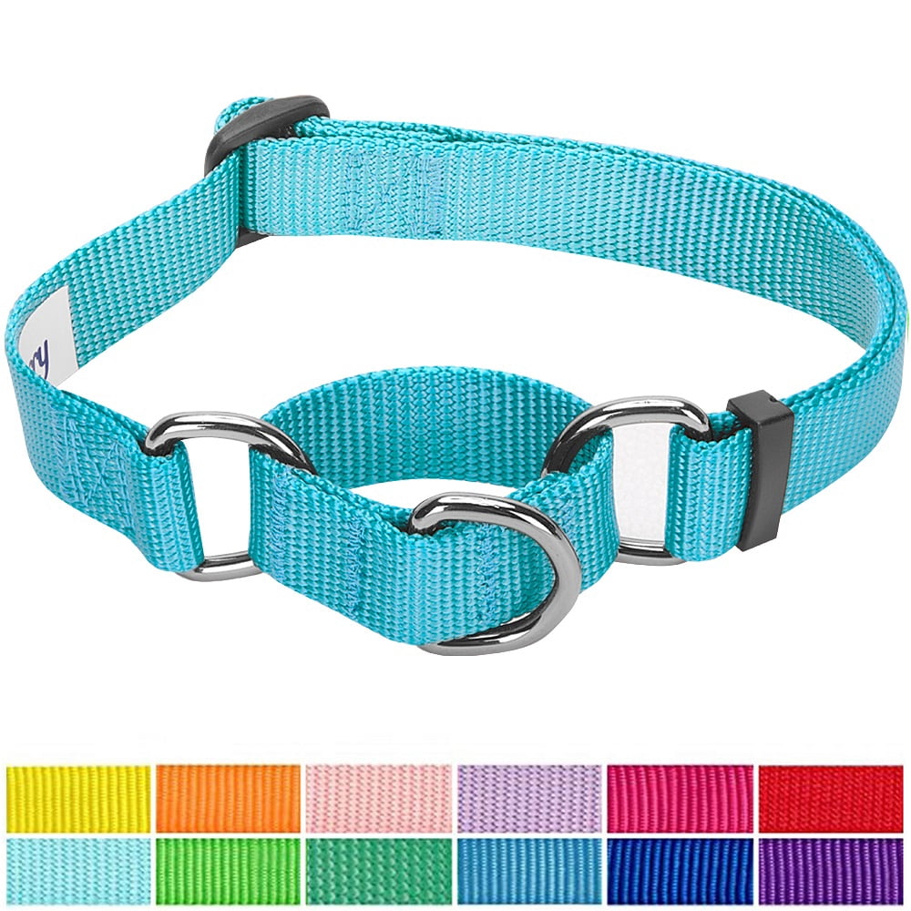 Blueberry Pet Adjustable Dog Martingale Collar Made for Last, Medium Turquoise, Large, Neck 18"-26"
